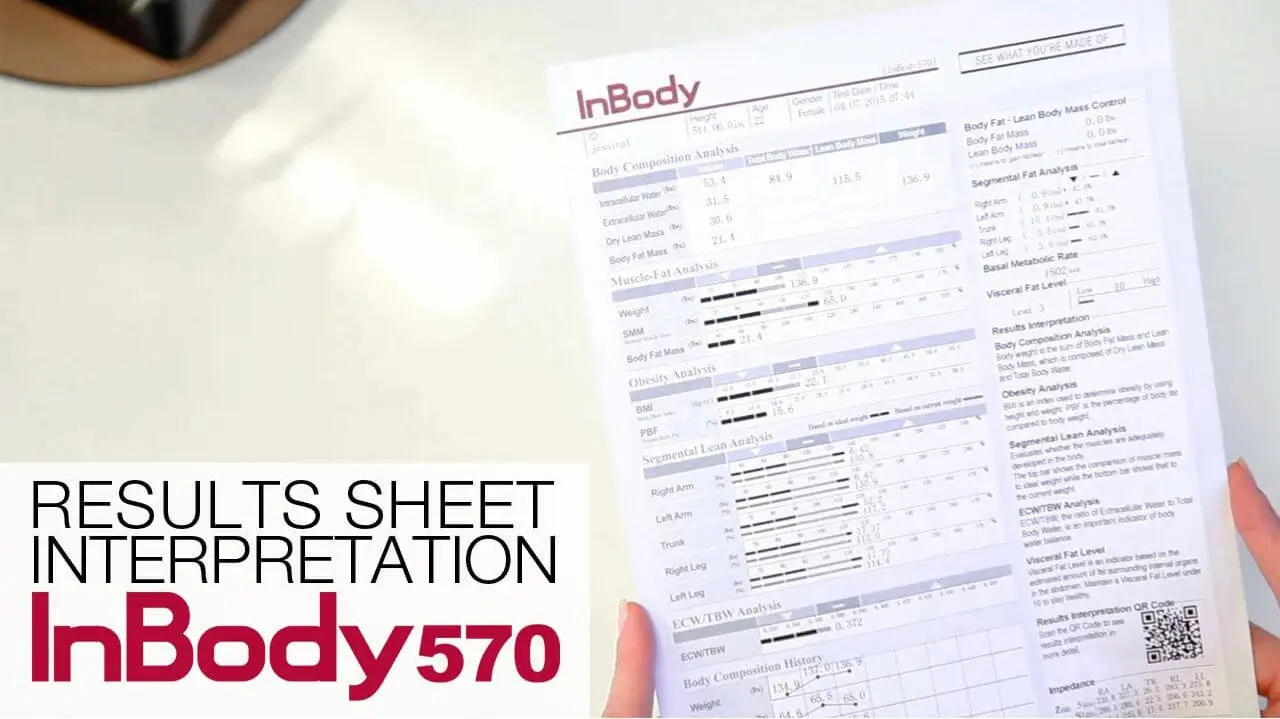 Explore the InBody 570 Result Sheet