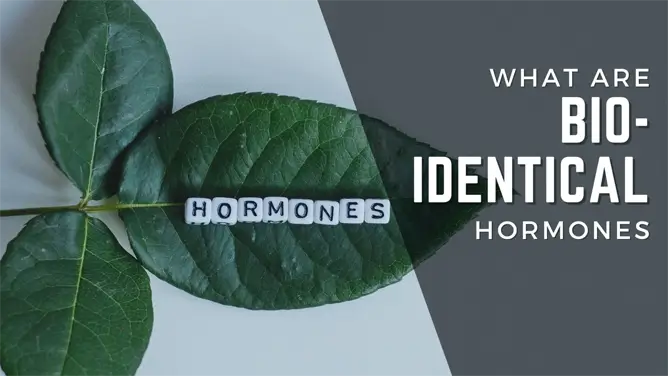 What are Bio-Identical Hormones